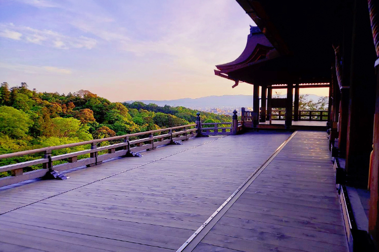 夏の清水寺の風景 清水寺の舞台からの風景